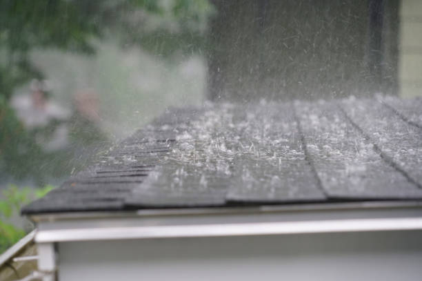 Best Emergency Roof Repair Services  in Castalia, OH
