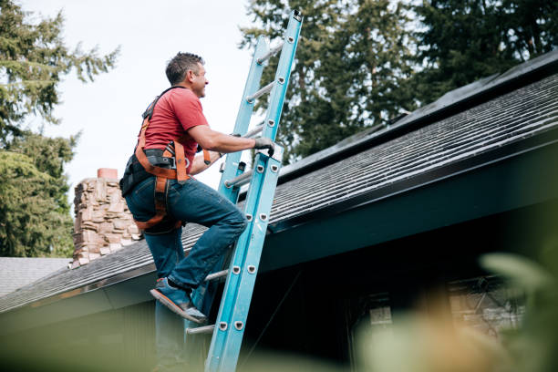 Best Asphalt Shingles Roofing  in Castalia, OH